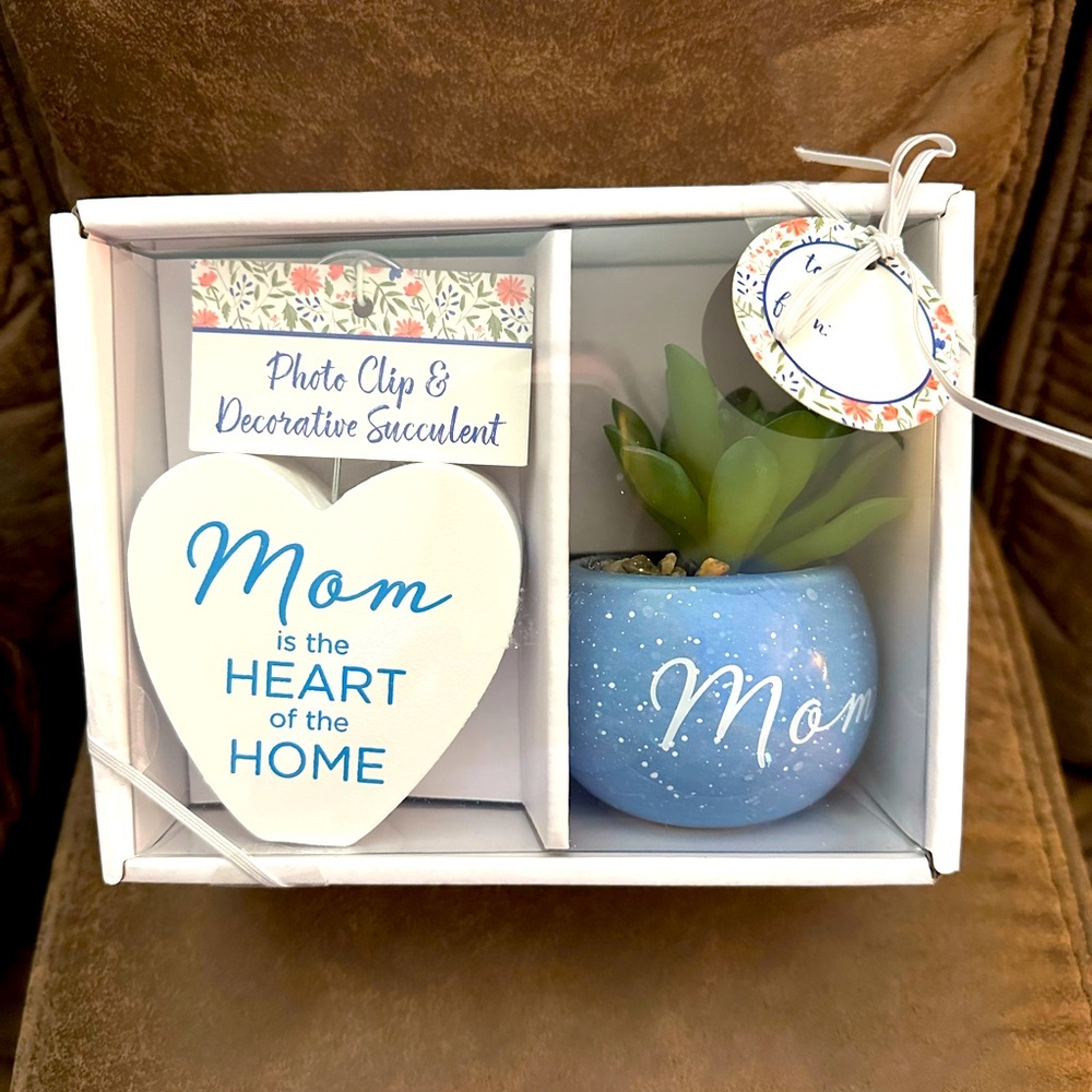 🌵 3/$15 Decorative Faux Succulent photo clip Mom tag gift set (see description)